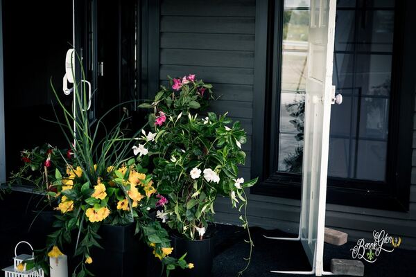Elegant Decor Wedding at the Bonnie Glen Pavilion — photo 10 of 30