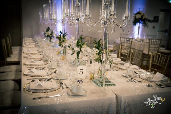 Elegant Decor Wedding at the Bonnie Glen Pavilion — photo 12 of 30