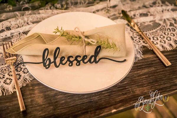 Romantic Decor Wedding at the Bonnie Glen Pavilion — photo 30 of 63