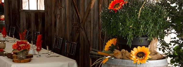 Rustic Decor Wedding at the Bonnie Glen Pavilion — photo 6 of 13