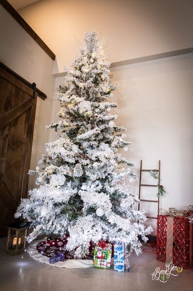 Xmas Decorations at the Bonnie Glen Pavilion — photo 3 of 27