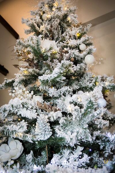 Xmas Decorations at the Bonnie Glen Pavilion — photo 12 of 27